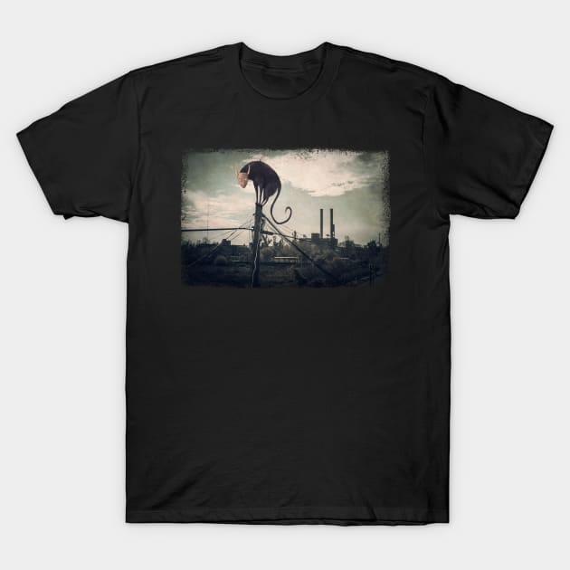 Surreal cat T-Shirt by laura-nagel